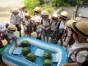 クラス対抗！すいか割り大会🍉