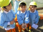 １１月もあっという間に過ぎ…